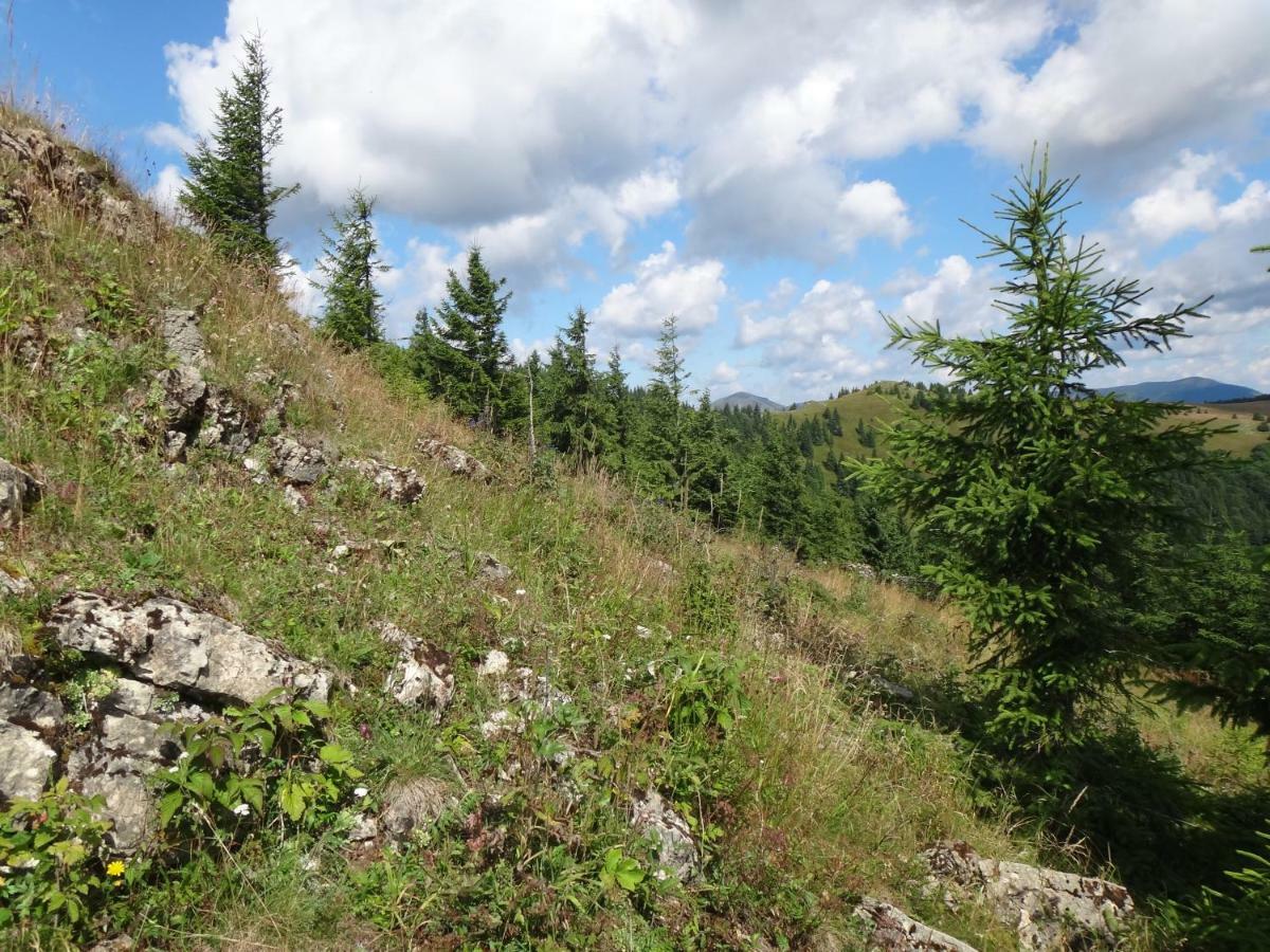 Kamzík Donovaly Exterior foto